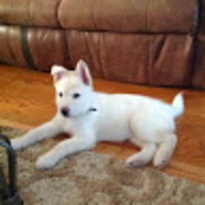 Meet your Posher, Sally